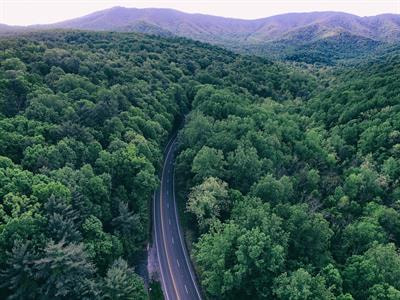 Cover image for research topic "Synthetic Aperture Radar (SAR) Remote Sensing Methods for Forest Parameters, Disturbance and Change Studies"