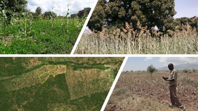 Cover image for research topic "Advances in AI Applications for Small-scale Agricultural Systems"