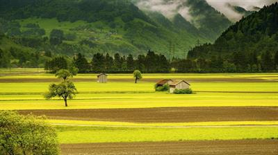 Cover image for research topic "Agile Data-Oriented Research Tools to Support Smallholder Farm System Transformation"