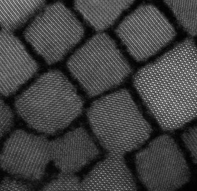 Cover image for research topic "Recent Advances and Challenges in Electron Microscopy Characterizations of Radiation-Sensitive Nanoparticles"