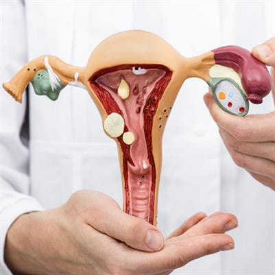Cover image for research topic "Comorbidities in Women with Endometriosis: Risks and Implications"