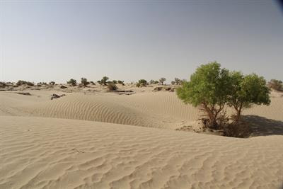 Cover image for research topic "Environmental Change in Drylands: Past, Present, Future"