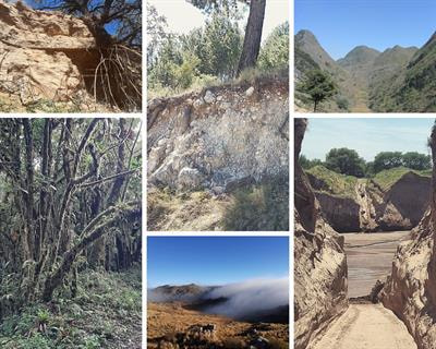 Cover image for research topic "Stable Isotope Ecohydrological Research of the Critical Zone"