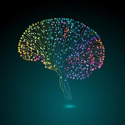 Cover image for research topic "Spatial Models and region selection for Functional and Effective Connectivity"