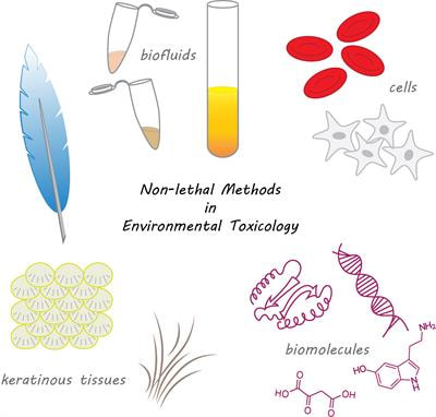 Cover image for research topic "Non-lethal animal methods in environmental toxicology"