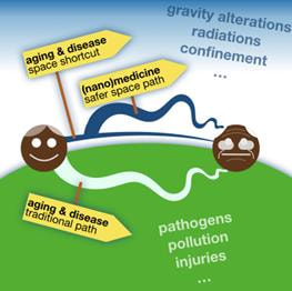Cover image for research topic "Space (Nano)Medicine"