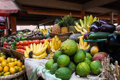 Cover image for research topic "Beyond the Food Systems Framework: Food System Transitions towards Sustainable Healthy Diets in Low and Middle-Income Countries"