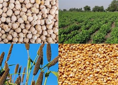Cover image for research topic "Smart Food for Healthy, Sustainable and Resilient Food Systems"