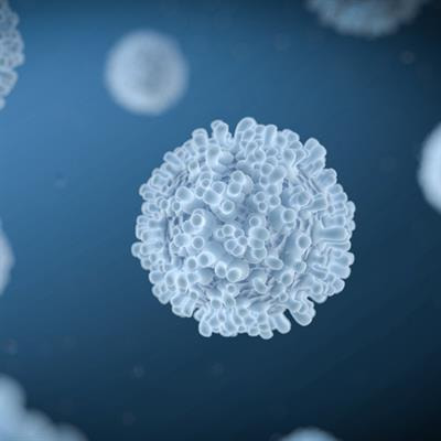 Cover image for research topic "Methods and Protocols in Immunotoxicology"