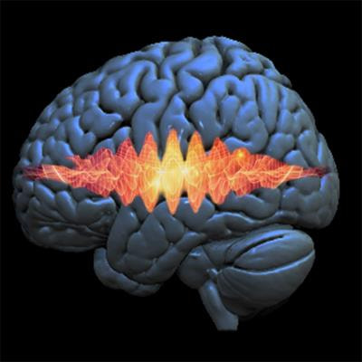 Cover image for research topic "Oscillatory Brain Activity as a Marker of Brain Function and Dysfunction in Aging and in Neurodegenerative Disorders"