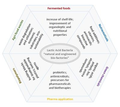 Cover image for research topic "Exploitation of Lactic Acid Bacteria as Microbial Cell Factories for the Production of High-Value and Bioactive Compounds"