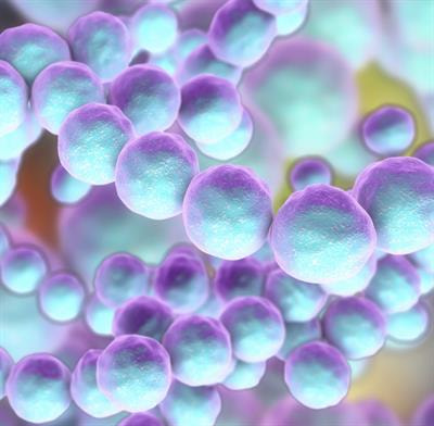 Cover image for research topic "The Impact of Inflammation on the Oral Microbiome"