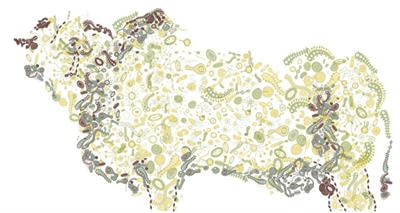 Cover image for research topic "Microbiome Genomics for Livestock Production"