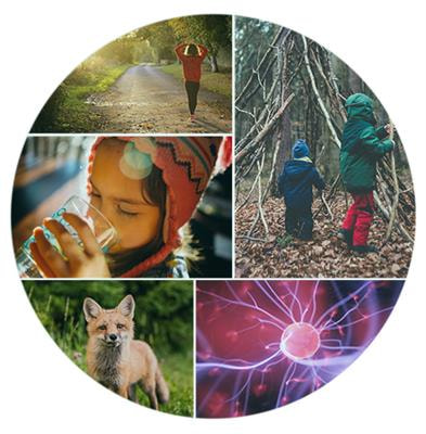 Cover image for research topic "One Health Operationalization: Strategies for a More Integrative Approach to Biodiversity & Health"