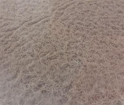 Cover image for research topic "Biofilm and Food: Well- and Lesser-Known Interactions"