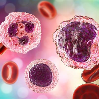 Cover image for research topic "Inflammation/Infection and Fibrin(ogen)"