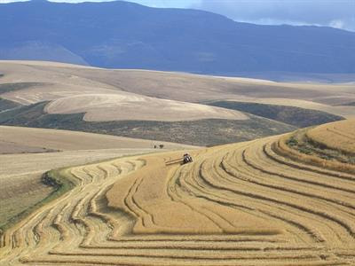 Cover image for research topic "Climate Change, Land, Energy and Food Security: Perspectives from Sub-Saharan Africa"