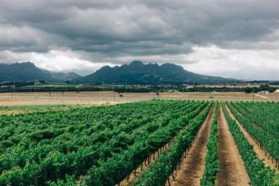 Cover image for research topic "Cross-cutting Issues in the Water, Land, Energy and Food Security Nexus: Perspectives from Sub-Saharan Africa"