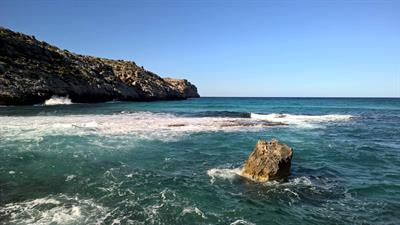 Cover image for research topic "Homeostasis and Physiological Regulation in the Aquatic Animal during Osmotic Stress"