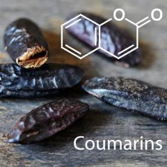Cover image for research topic "Coumarins: New Synthetic Approaches and New Pharmacological Applications"
