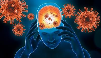 Cover image for research topic "Environmental Risk Factors and Inflammation in Psychiatric and Neurological Disease"