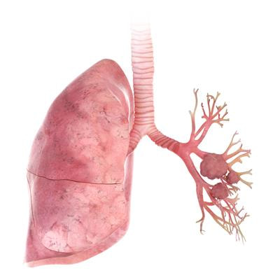 Cover image for research topic "Airway Remodeling in Asthma - What is new?"