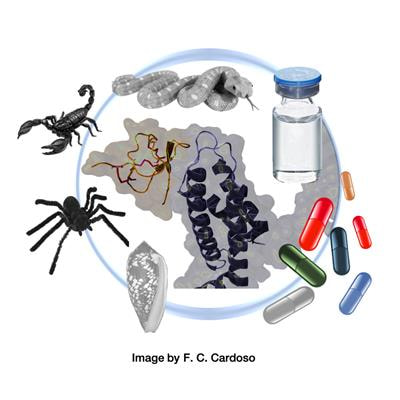 Cover image for research topic "Venom Peptides: A Rich Combinatorial Library for Drug Development"