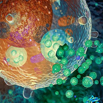 Cover image for research topic "Exosomes: Message in a Vesicle"