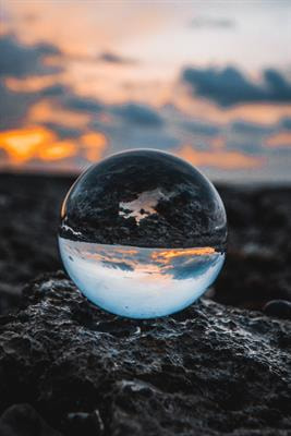 Cover image for research topic "One Health: The Psychology of Human-Nature Relationships for Planetary and Human Wellbeing, volume II"