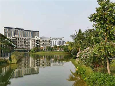 Cover image for research topic "Nature-Based Solutions for Urban Water Management"