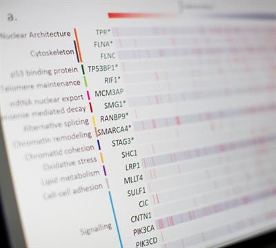 Cover image for research topic "Translating Clinical Genomics and Health Informatics Into Precision Oncology"