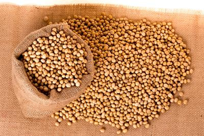 Cover image for research topic "Soybean Molecular Breeding and Genetics"