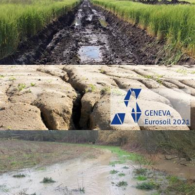Cover image for research topic "Eurosoil 2021: Sustainable Management of Soil Functions as a Basis to Avoid, Halt, and Reverse Land Degradation"