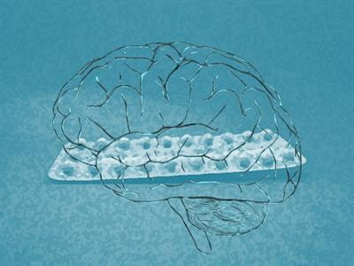 Cover image for research topic "Effects of Hormonal Contraceptives on the Brain"