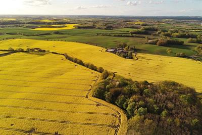 Cover image for research topic "Planning for Agriculture and Sustainable Food Systems"