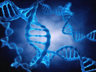 Cover image for research topic "Regulatory Networks in Genome Stability Pathways"