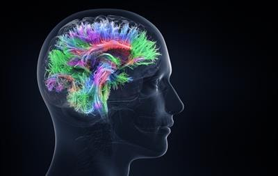Cover image for research topic "Decoding brain function through genetics"