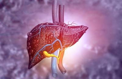 Cover image for research topic "Sarcopenia, Frailty and Nutrition in Liver Diseases"
