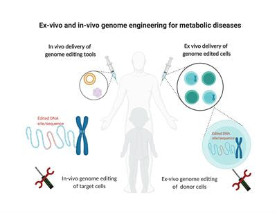 Cover image for research topic "Ex-Vivo and In-Vivo Genome Engineering for Metabolic and Neurometabolic Diseases"