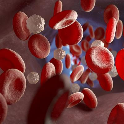 Cover image for research topic "Hypoxia in Cardiovascular Disease"