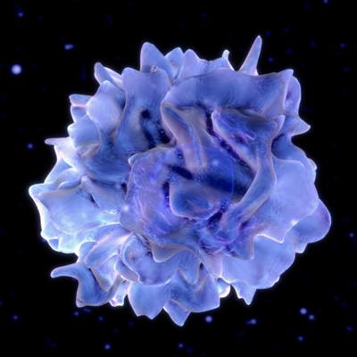 Cover image for research topic "Cellular Mechanisms of Aging and Longevity in Oral Health and Disease"
