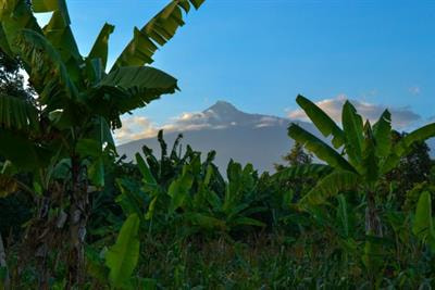 Cover image for research topic "Ecosystem Services Underpinning Food Security in the African Tropics"