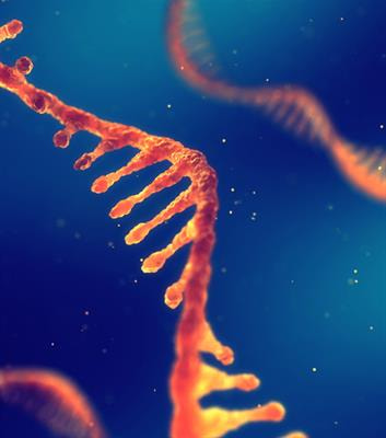 Cover image for research topic "RNA-Mediated Epigenetic and Transcriptional Regulation"