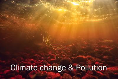 Cover image for research topic "Exploring the Combined Effect of Climate Change and Pollution on Freshwater Ecosystems"