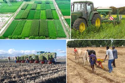 Cover image for research topic "Conservation Agriculture: Knowledge Frontiers Around the World"
