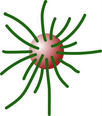 Cover image for research topic "Centrosomes and other Microtubule-Organizing Centers"