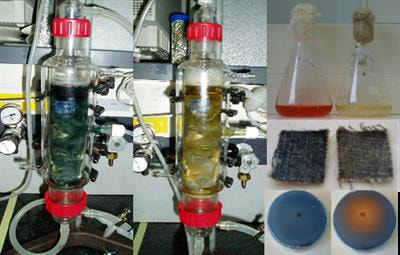 Cover image for research topic "Microbial Laccases: Recent Advances and Biotechnological Applications"