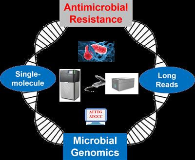 Cover image for research topic "Investigating Antimicrobial Resistance with Single-molecule Sequencing Technologies: Opportunities and Challenges"