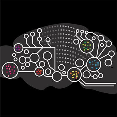Cover image for research topic "Deconstructing Neural Systems: From Molecular, Cellular and Circuit Properties to Behavioral Functions"