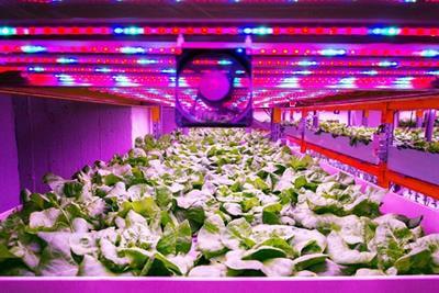 Cover image for research topic "Rethinking Food Systems: Circular Economy and Urban Agriculture"